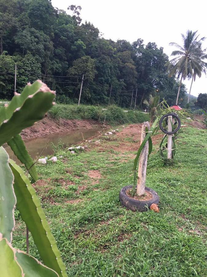 Panorama Homestay Jeram  ภายนอก รูปภาพ